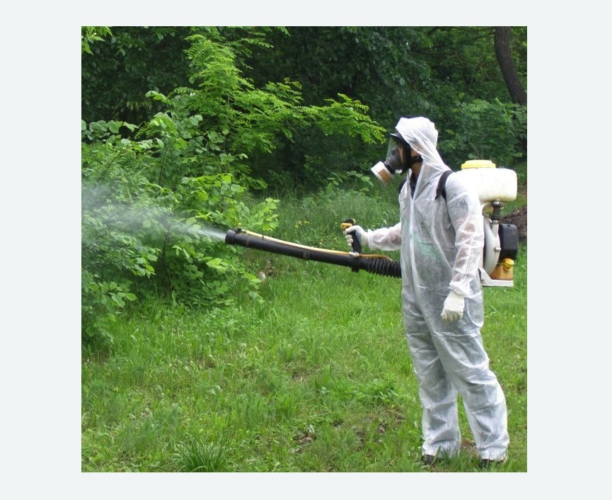 обработка территории от клещей в Магасе