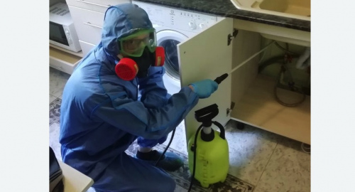 Уничтожение муравьев в квартире. Магас