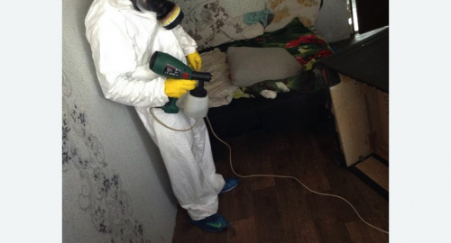 Обработка квартир от насекомых в Магасе