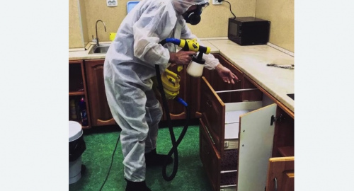 Дезинсекция квартиры. Магас