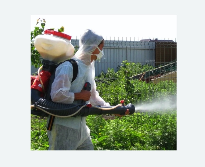 Акарицидная обработка территории в Магасе