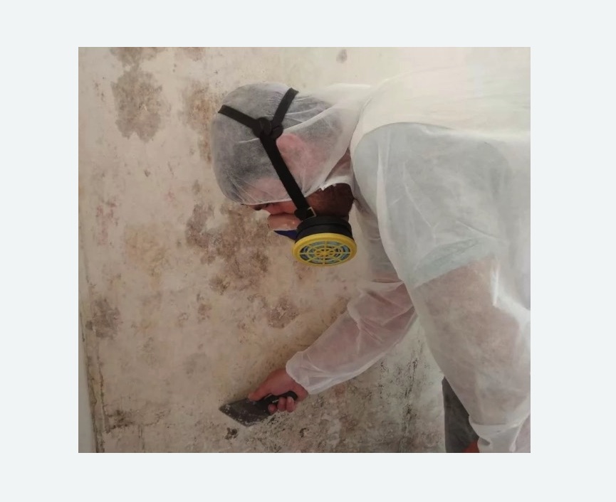 Обработка стен от плесени в Магасе