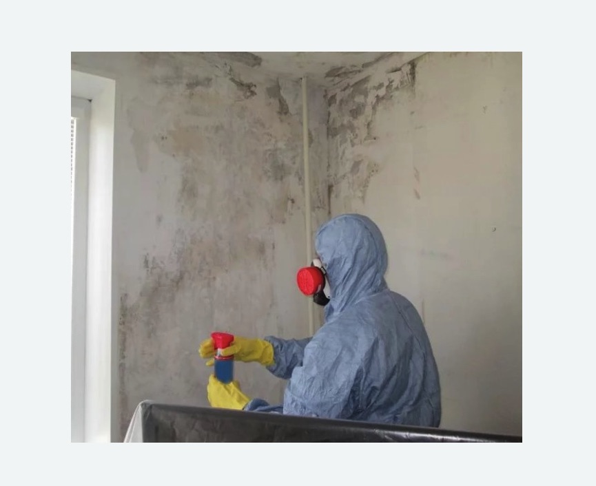 Удаление плесени в квартире в Магасе