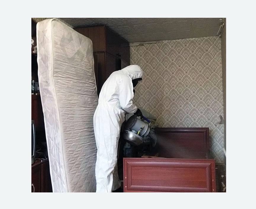 дезинфекция от клопов дезинфекция от клопов в Магасе