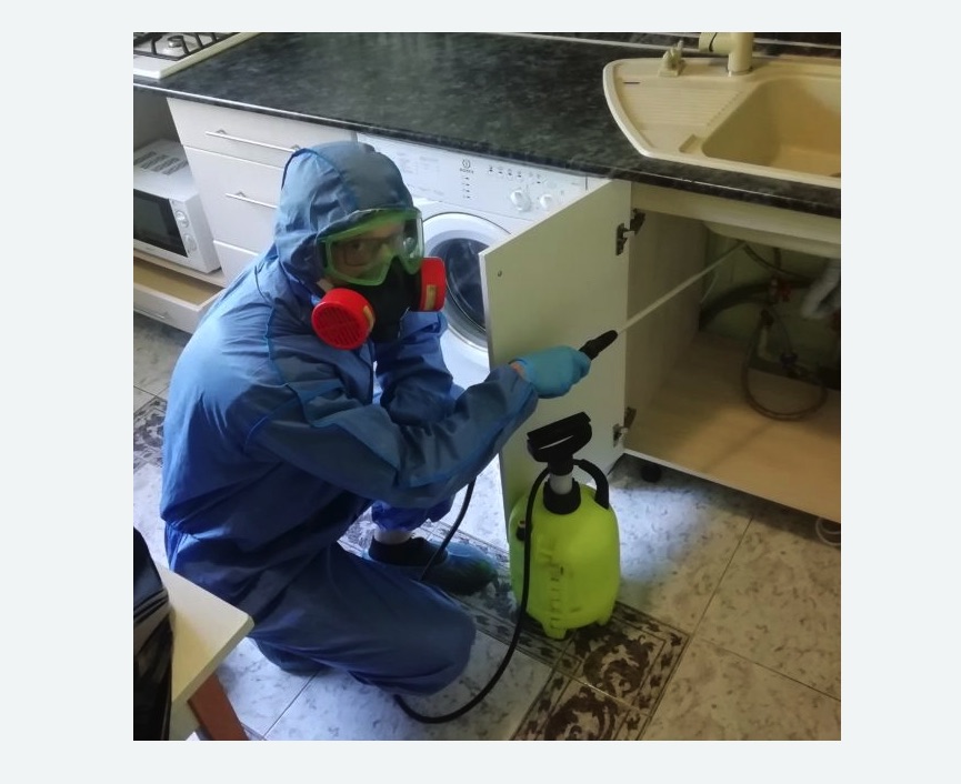 обработка от муравьев в квартире в Магасе