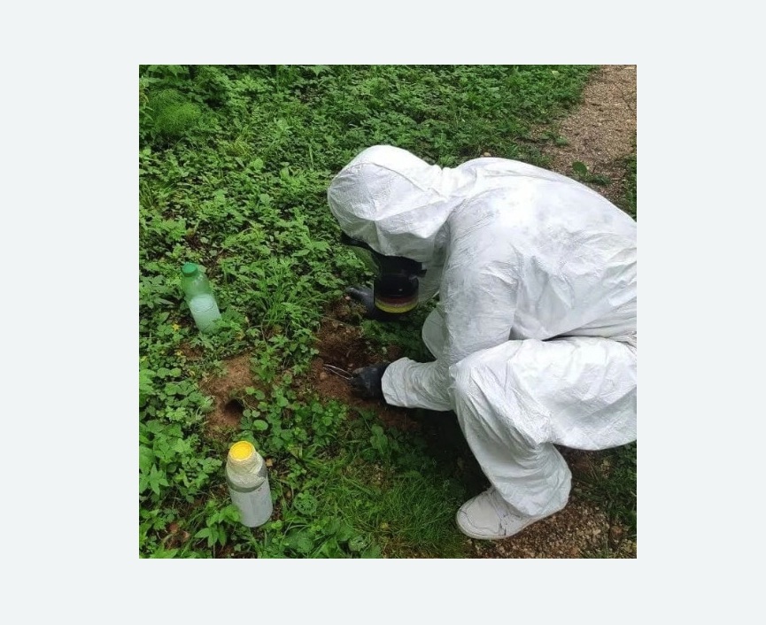 уничтожение кротов на участке в Магасе