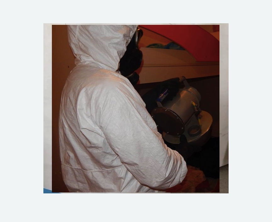 Дезинфекция от муравьев в Магасе