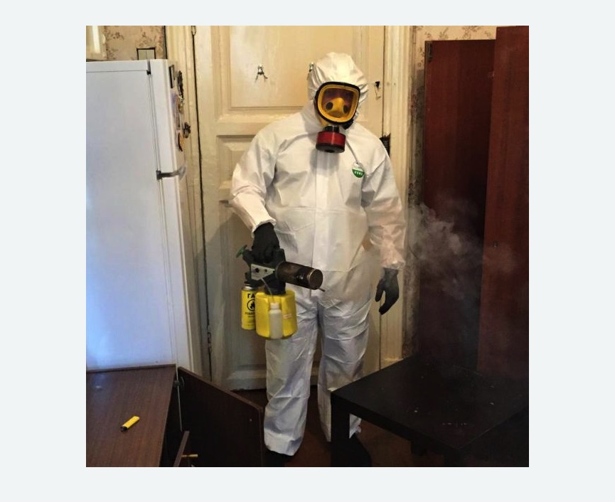 уничтожение муравьев в квартире в Магасе